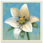 Inner Garden icon