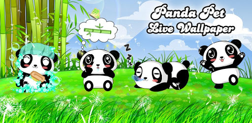 Panda Pet Live Wallpaper Free pc screenshot Panda Pet Live Wallpaper Free pc screenshot