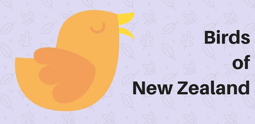 Birds of New Zealand (Free) pc screenshot Birds of New Zealand (Free) pc screenshot