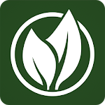 Sweet Leaf icon