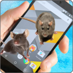 Mouse Screen Terrible Joke icon