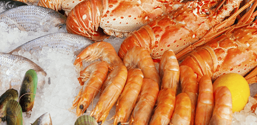 2600+ Seafood Recipes Offline: Crab, Shrimp & Fish pc screenshot 2600+ Seafood Recipes Offline: Crab, Shrimp & Fish pc screenshot