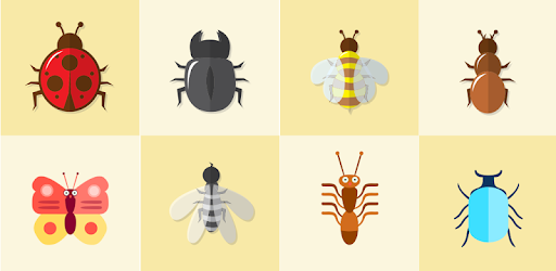 Entomology Dictionary pc screenshot