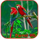 Parrots HD Live Wallpaper icon