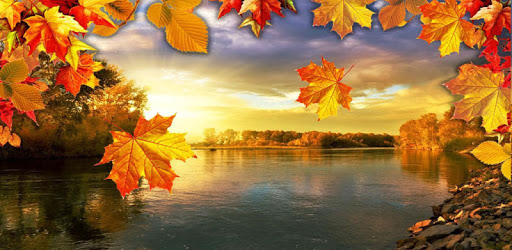Autumn River live wallpaper pc screenshot