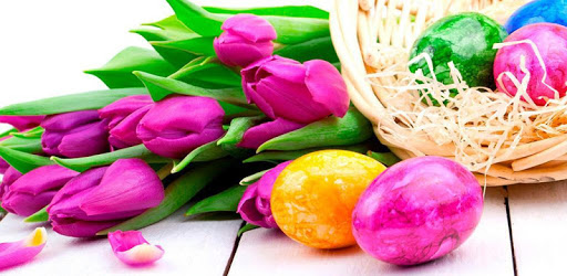 Easter Flowers live wallpaper for PC - How to Install on Windows PC, Mac