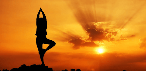 20 Daily Yoga - Offline pc screenshot 20 Daily Yoga - Offline pc screenshot