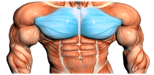 Chest Workout™ pc screenshot Chest Workout™ pc screenshot