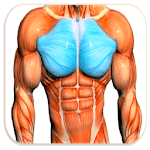 Chest Workout™ icon