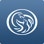 EMIC for pc icon EMIC for pc icon