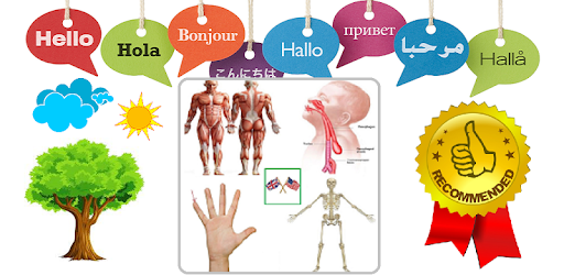 Body Parts Name and Pictures pc screenshot Body Parts Name and Pictures pc screenshot