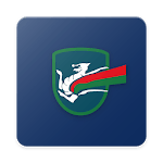 Terni League icon
