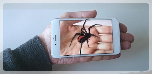 Spider On Hand Prank pc screenshot Spider On Hand Prank pc screenshot