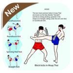 Muay Thai Technique icon
