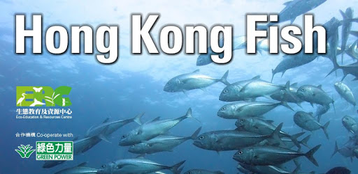 Hong Kong Fish pc screenshot Hong Kong Fish pc screenshot