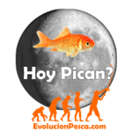 Hoy Pican icon