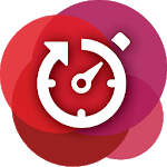 Exact Hour Entry icon