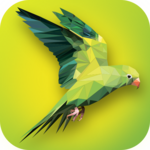 PolyColor - Color by Number Poly Art Coloring Game icon