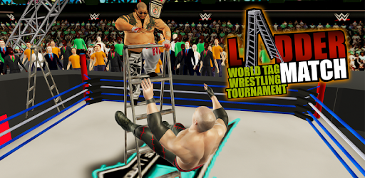 Ladder Match: World Tag Wrestling Tournament 2k18 pc screenshot