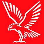 Falck In Safe Hands icon