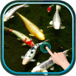 Magic Touch Koi Fish icon