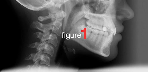 Figure 1 - Medical Images pc screenshot Figure 1 - Medical Images pc screenshot