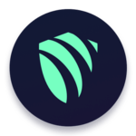 ArgoVPN icon