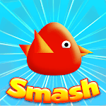 Cool Birds Game - Fun Smash icon