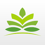 Alive Yoga icon