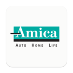 Amica icon