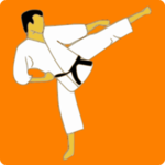Kung Fu Master icon