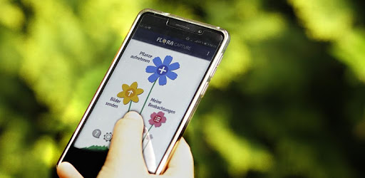 Flora Capture pc screenshot