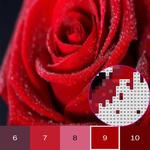 Flower Color By Number, flower coloring pages icon