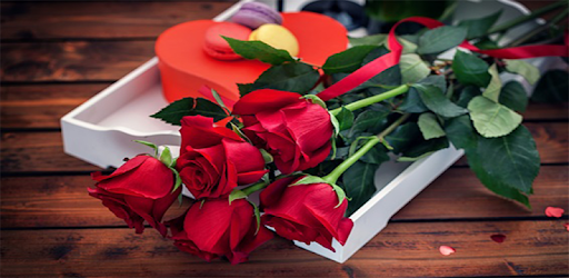 Beautiful Flowers Bouquet Of Roses 🌹 pc screenshot