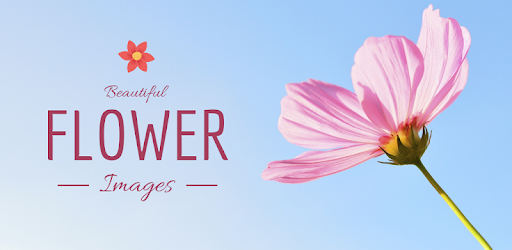 Flowers Images pc screenshot Flowers Images pc screenshot