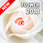 Flower Wallpaper icon