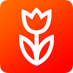 Flowwow flowers. Delivery of flowers and sweets icon