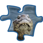 Safari Jigsaw animal puzzles icon