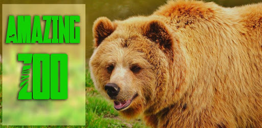 Real Animal Zoo pc screenshot Real Animal Zoo pc screenshot