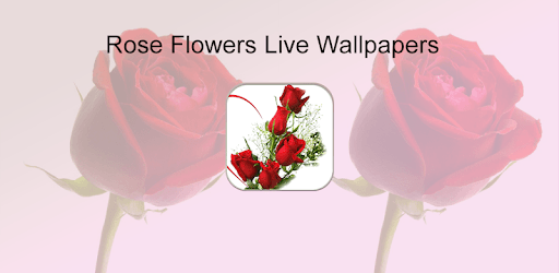 HD Rose Flowers Live Wallpaper pc screenshot HD Rose Flowers Live Wallpaper pc screenshot