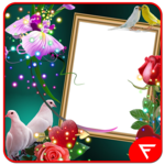 Love Birds Insta DP icon