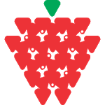 Strawberry Fields High School icon