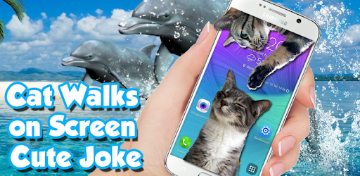 Cat Walks on Screen Cute Joke pc screenshot Cat Walks on Screen Cute Joke pc screenshot