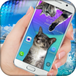 Cat Walks on Screen Cute Joke icon