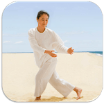 Tai Chi Training icon
