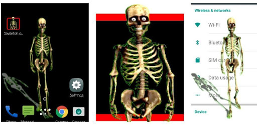 Skeleton On Screen pc screenshot Skeleton On Screen pc screenshot