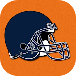 Wallpapers for Chicago Bears Fans icon