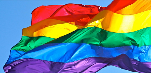 Gay Videos pc screenshot