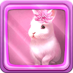 Cute Animals Live Wallpaper icon