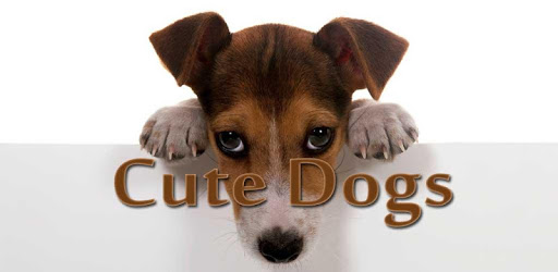 Cute Dogs pc screenshot Cute Dogs pc screenshot